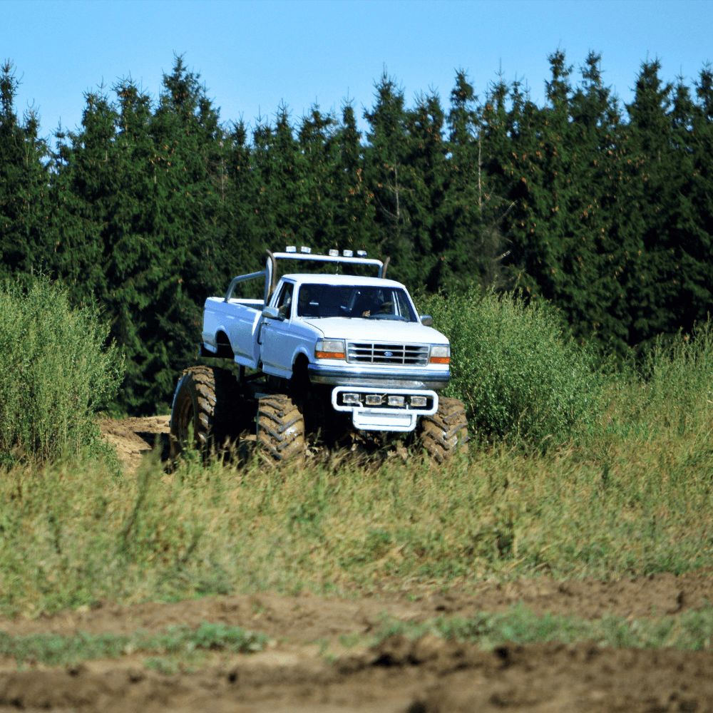 Na grafice widzimy białego monster trucka poruszającego się po trawiastej, leśnej scenerii z wysokimi drzewami w tle.